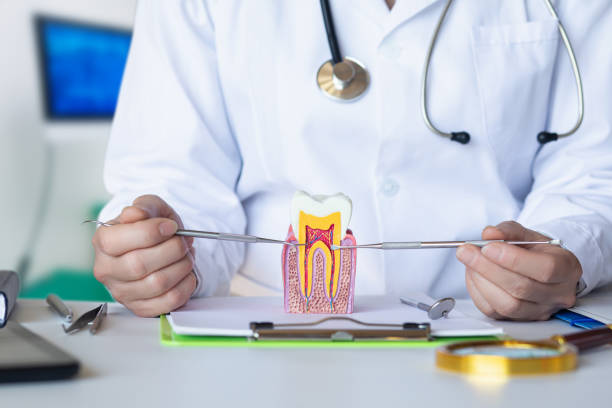 Best Emergency Wisdom Teeth Removal in Carrollton, MO